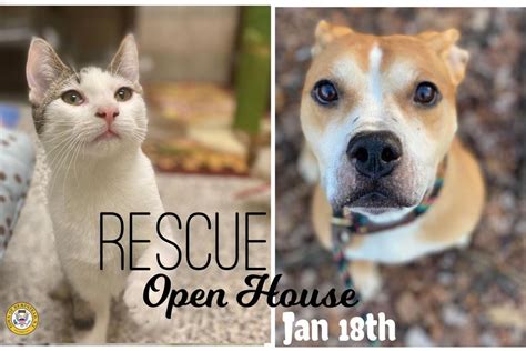 Toh animal shelter wantagh - 513.541.PETS (7387) Shelter Hours Monday - Sunday 1PM - 6PM. After Hours Animal Control Emergencies 513-825-2280